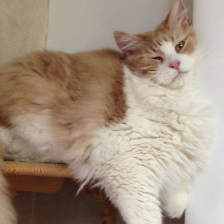 3e941b54 4925 46f2 bcdb ea7a516621b7