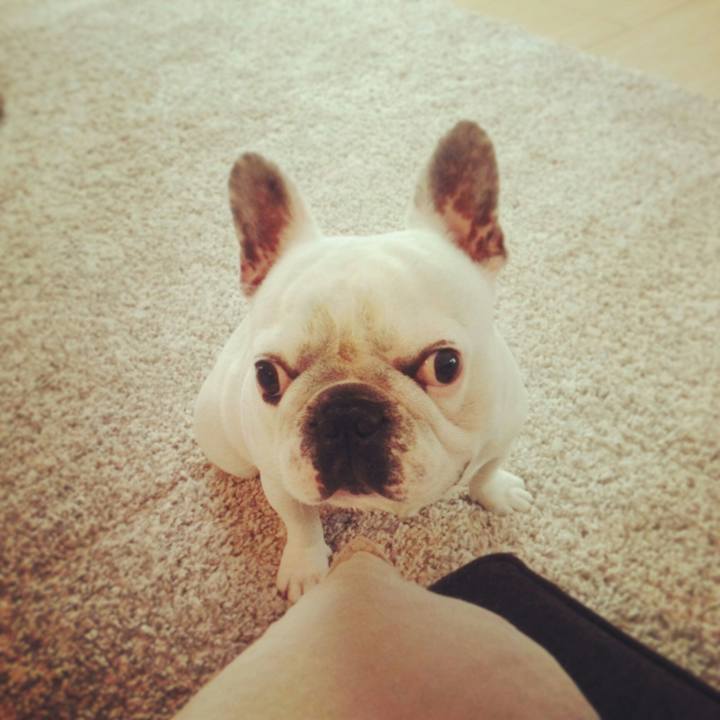 3e94d134 2026 47dc 9b8a 248e6ecc12ae