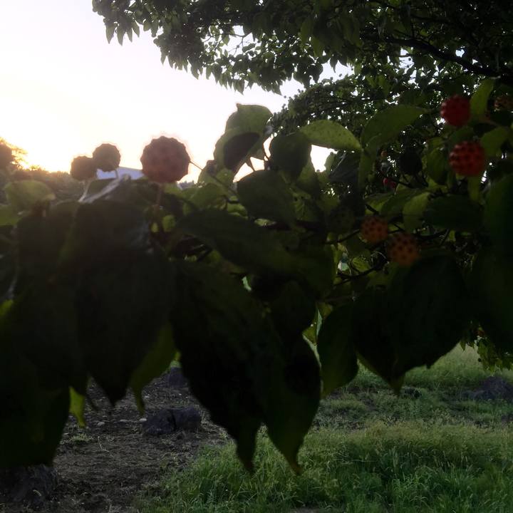 3e94df08 daba 41c7 8432 7996d8e46971