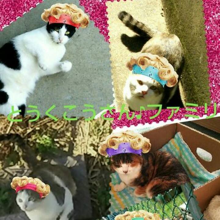 3e9508dd fa8d 46e4 b018 9adaa72294f8