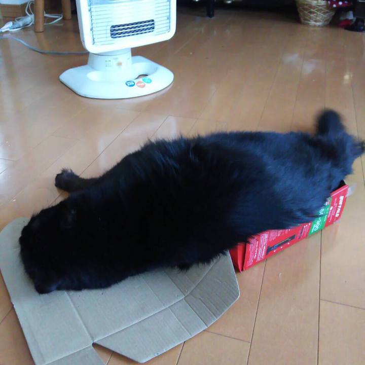 3e95196b 1ee9 4a91 b852 e7a54813761c