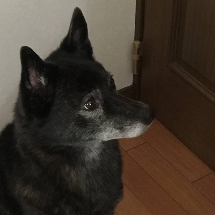 3e9575ab 89a8 4666 adf5 7b1bfb1cc95f