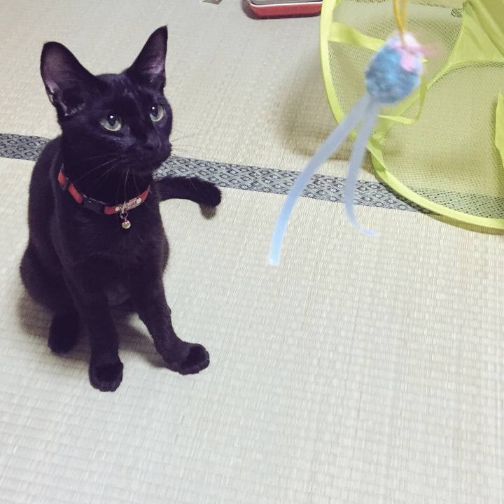 3e95c354 e7a2 4b99 b374 932aec57d98e