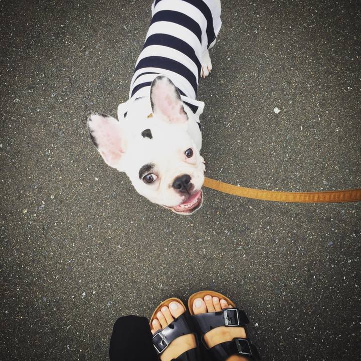 3e95c6f2 47d4 44b2 b602 abd181171a6b