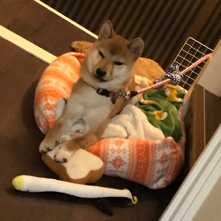 3e97322e 59a4 48b5 ac1b 1e128c100ebb