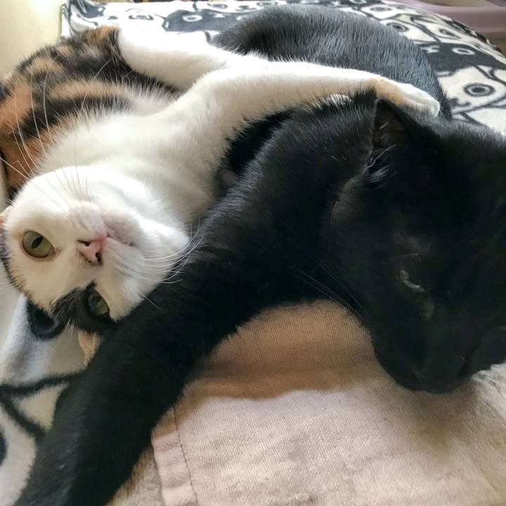 3e979053 aa70 4d66 8837 70856a338c85