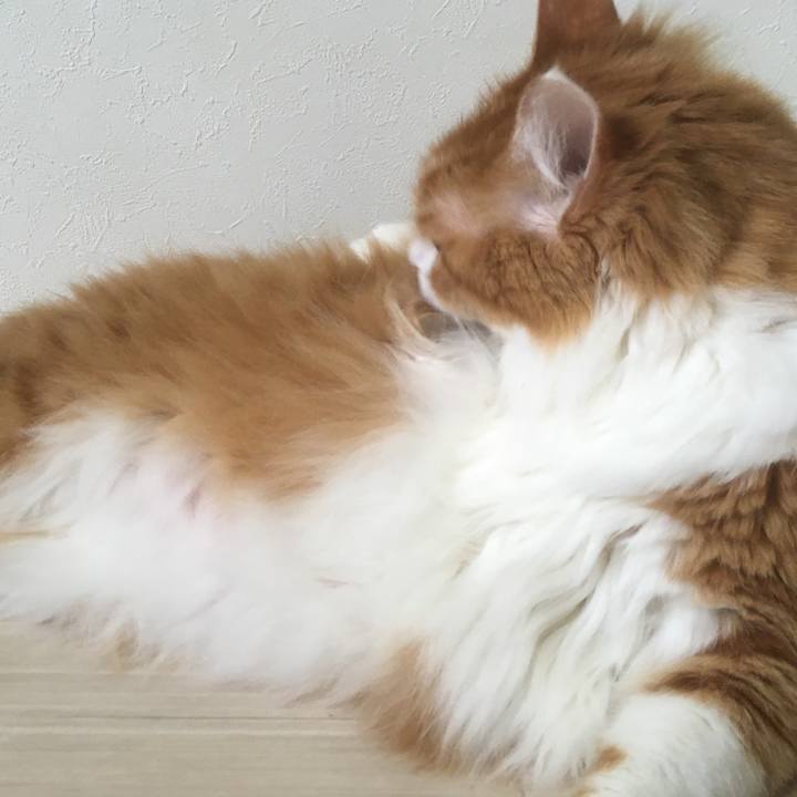 3e97cbaa da73 4ed6 baff 45530a780c3e