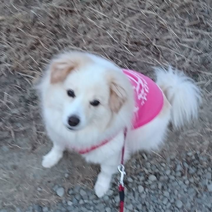 3e97fa33 83c7 4d55 b80d 1bf6fe100538