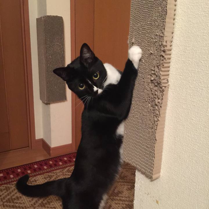 3e981057 c5ec 4cb9 8c16 dfc377834879