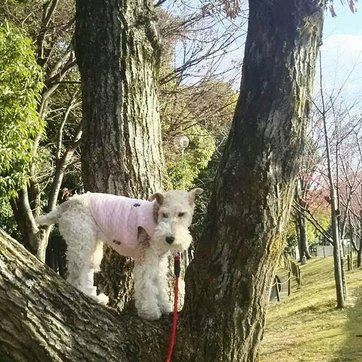 3e989d10 2d7b 4f40 8a90 01d3fcf599da