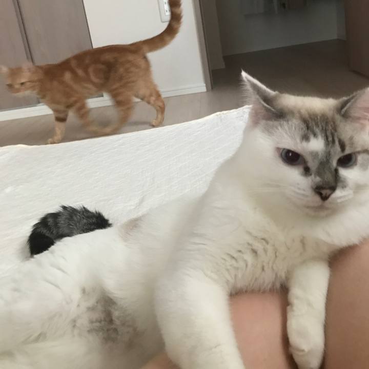 3e9a13d8 82aa 4058 acdd a353263a16e9