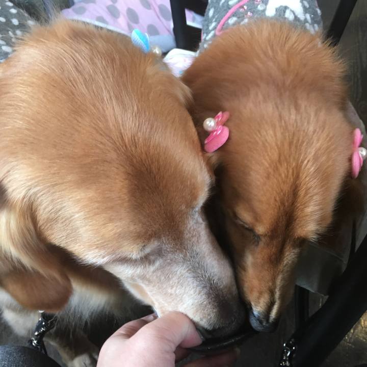 3e9a7271 9a60 488f 8373 08494b410570