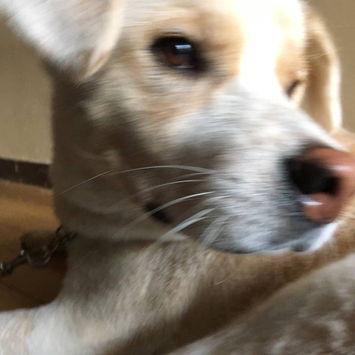 3e9b7118 547f 44b3 8832 e0e9876dbd1f