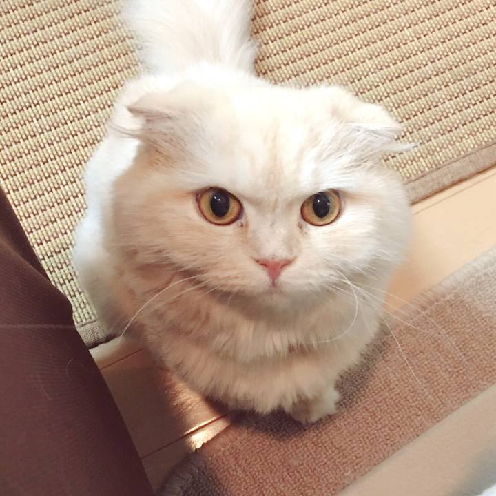 3e9b9a18 8725 41e2 96ad 6b9fd1013148