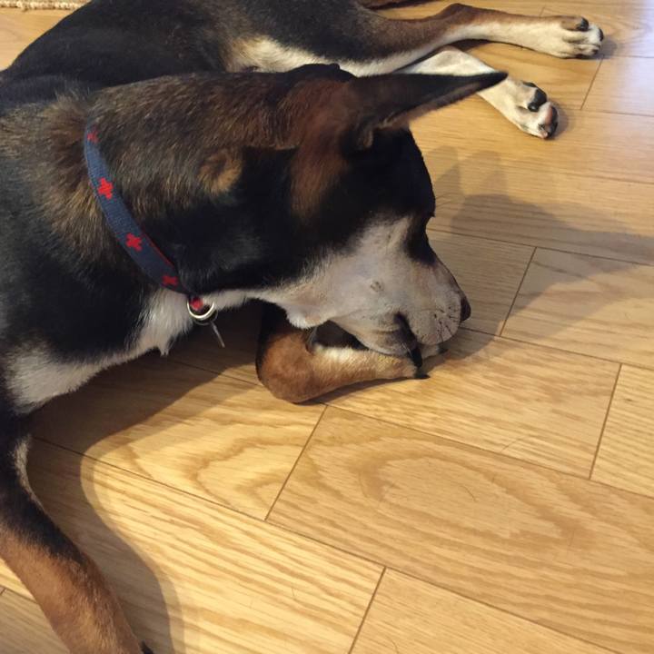 3e9c266a bb18 4100 8c20 a115d89b65eb