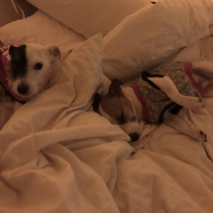 3e9d7ce2 49f7 4a69 a0d6 d6ef79e4c396