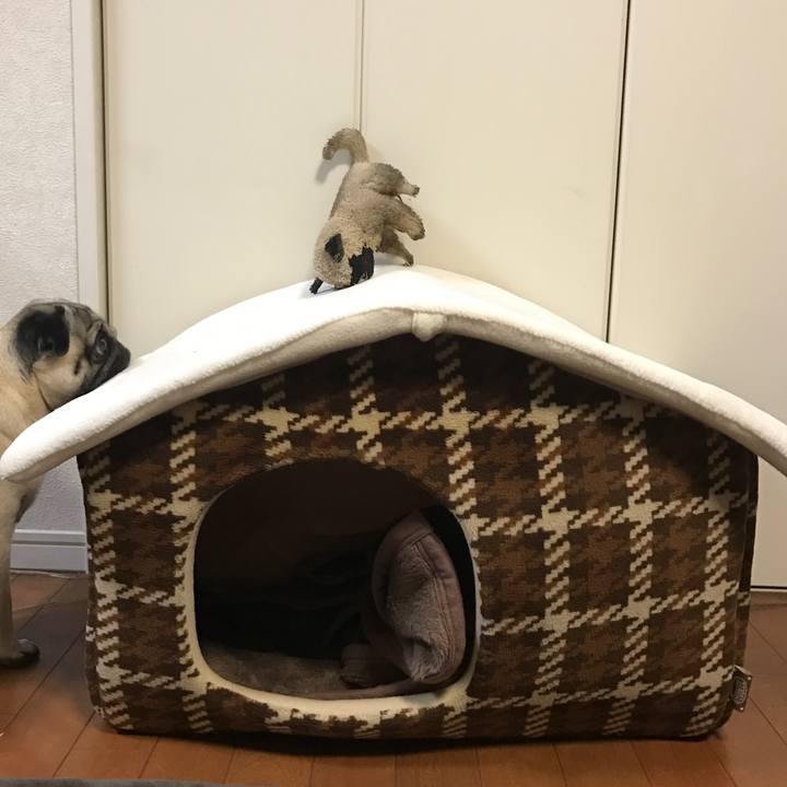 3e9d8606 140b 480d b322 78a5ad13e6dd