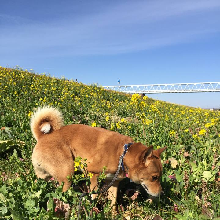 3e9dc449 2229 4f95 a06d 45d33844fba9