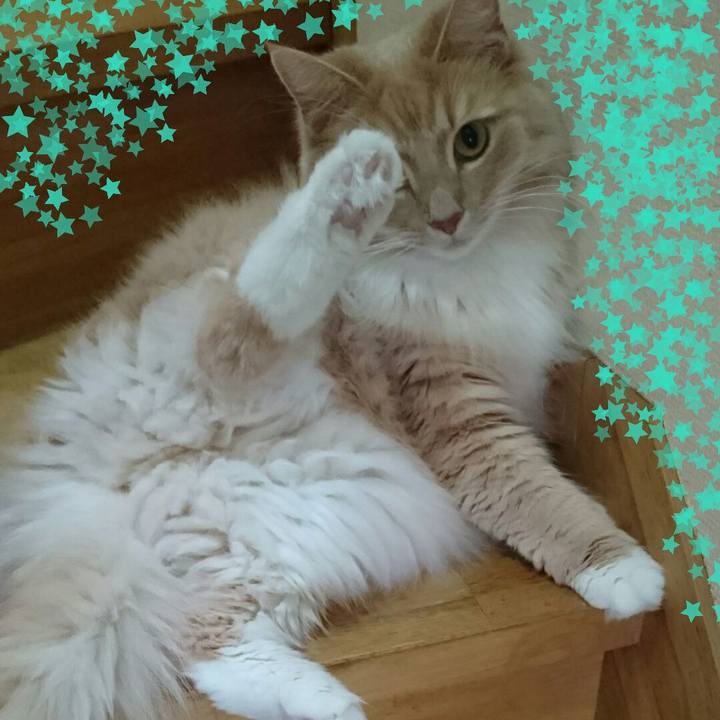 3e9e489d 45ac 46b7 9ef2 f00237de6c89