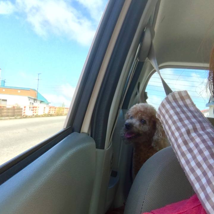 3e9edcee 93cb 4db7 9595 f9541273fbc6