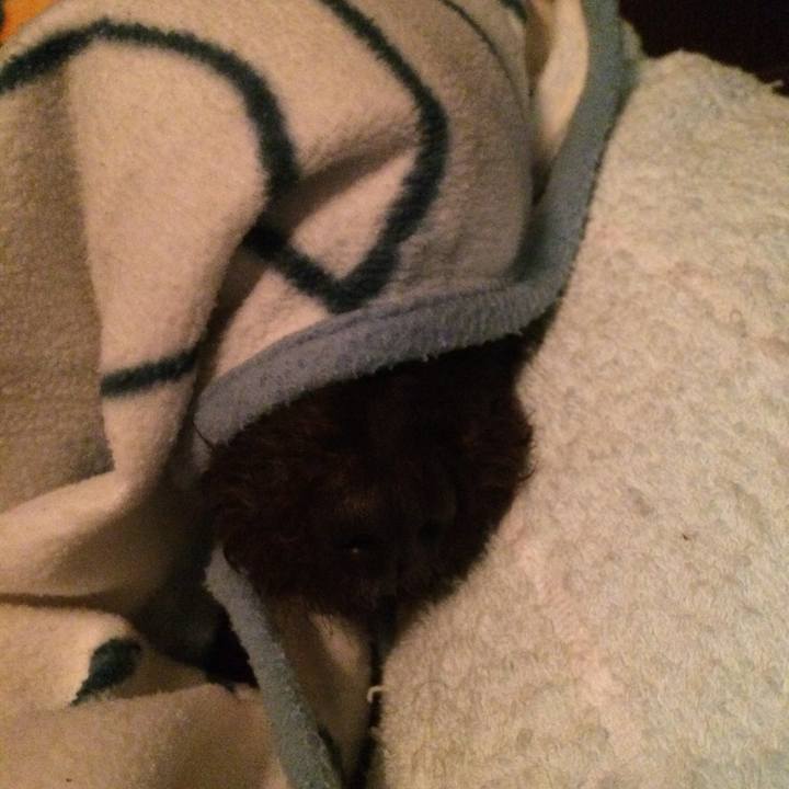 3e9f41af 4f0a 4529 8548 c9e909131417