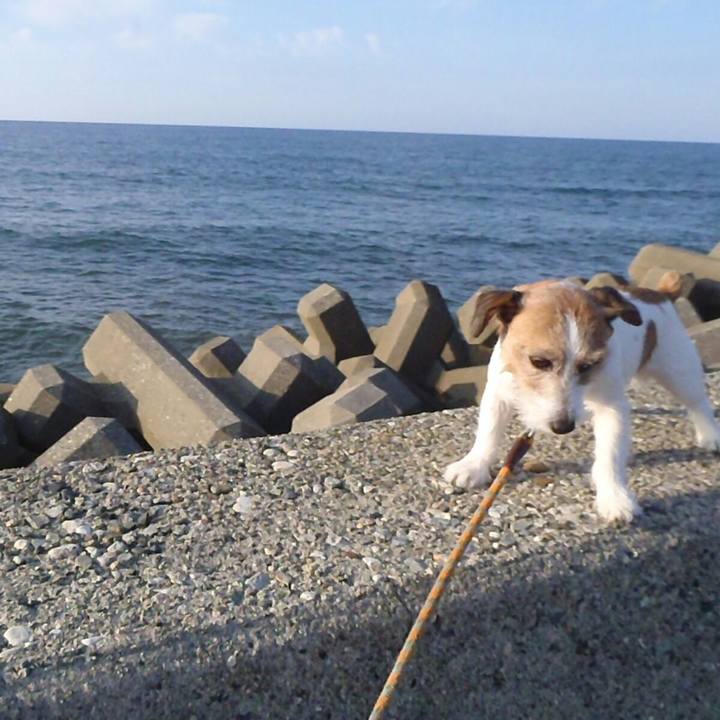 3e9f98b5 7835 4815 8c39 58d32474858b