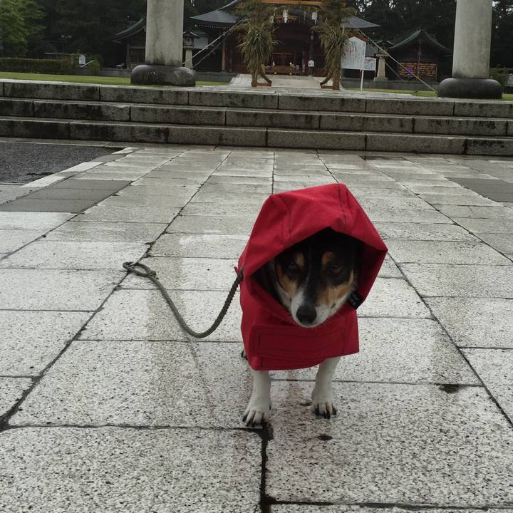 3e9fe954 fe67 4e7a a922 5cc61b8e0f3c