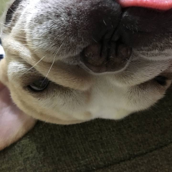 3e9ff3e2 34c9 42cb b720 a25c7fddf6e0