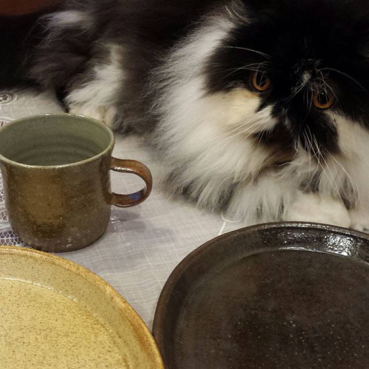 3e9ff4f7 06eb 4c0f 902d 6bac23c4552a