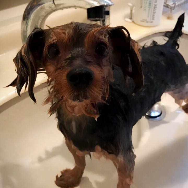 3ea0a7f2 060c 4884 b460 769dd3c876ad