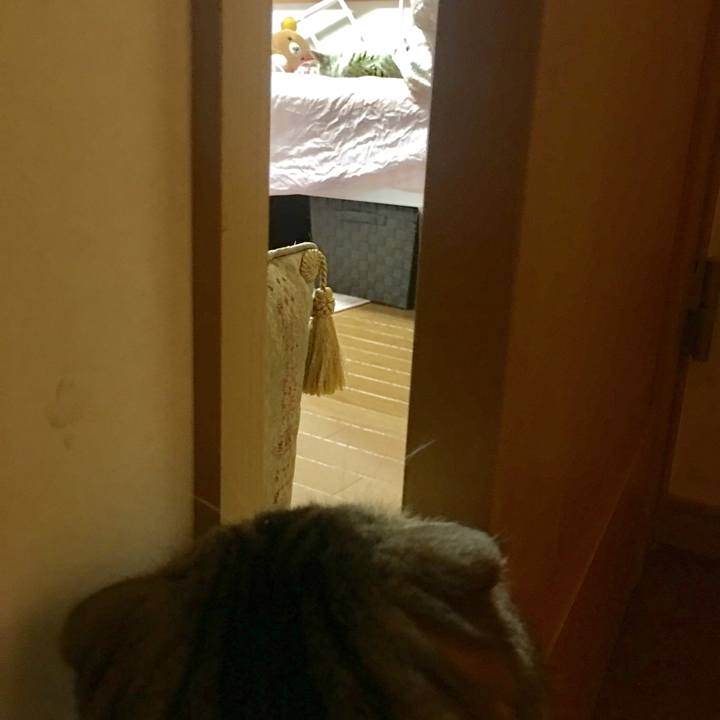 3ea0bf19 c4c6 4e7d bef2 f7ebe1cf34cf