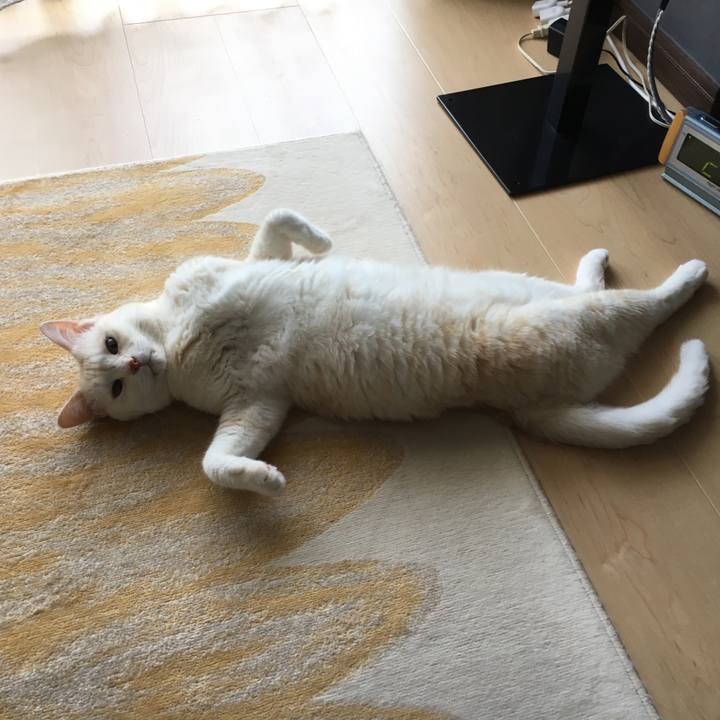 3ea0dbc1 9319 4477 9047 872edfe81a8f