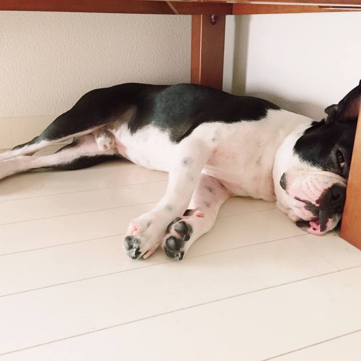 3ea0f28f fd61 42e6 9fb5 898601e1dc84