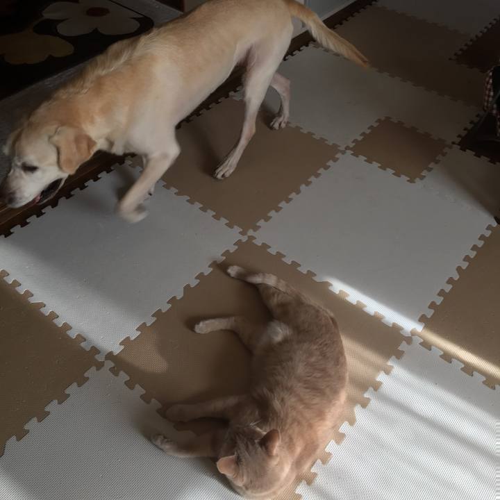 3ea10fc8 a186 41f0 88c8 e6ca0aa15e75