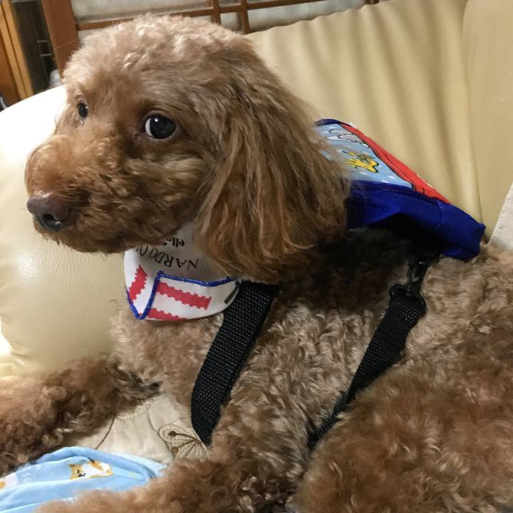 3ea12468 3367 4742 836a 3966c4eaee01