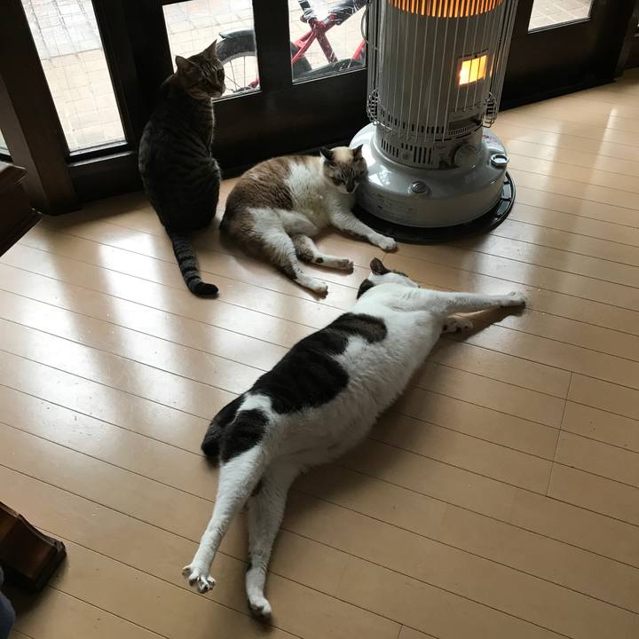 3ea199db e604 45fa ae9c 64a504070eeb