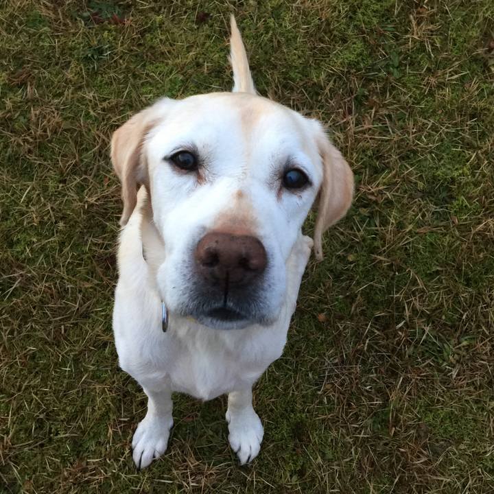 3ea1dabd 1677 4faf 971d 52b71142c458