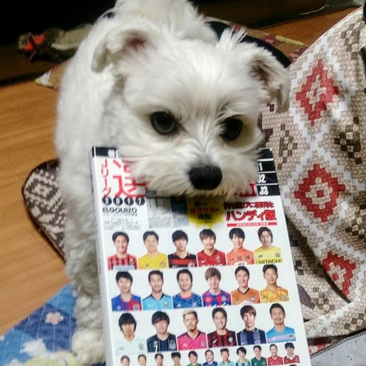 3ea22a91 f296 4448 aed7 4134ad7adbd6