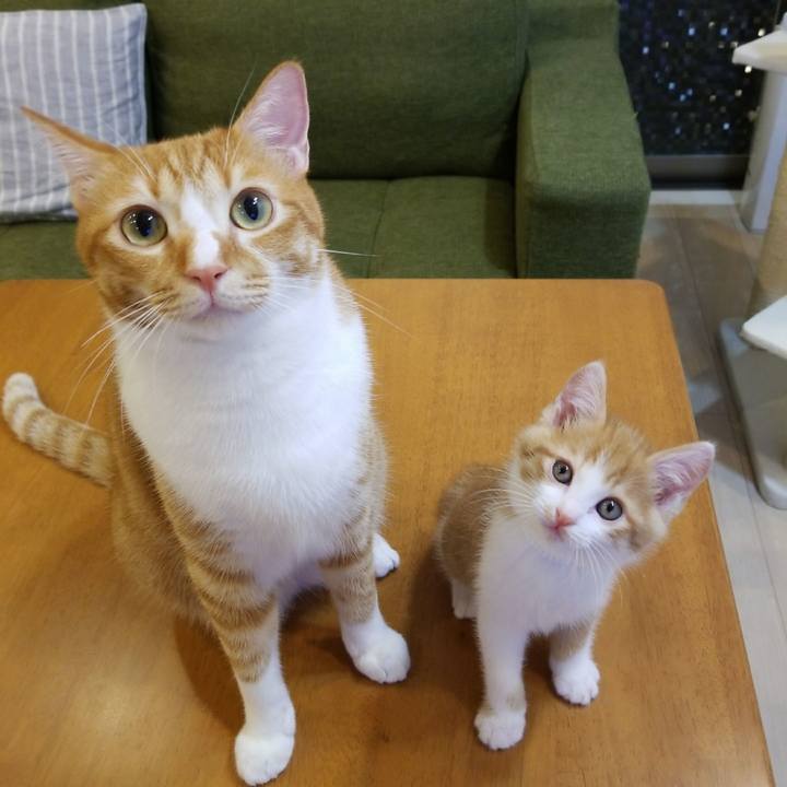 3ea27287 0826 47db 8435 805f1fd92cfb