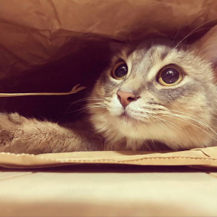 3ea2c3fb 0a3c 44d7 8e8a 2f8bb5dcc173