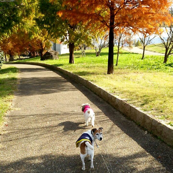 3ea33dfa 52e7 4eba b73f 1bcb9493e219