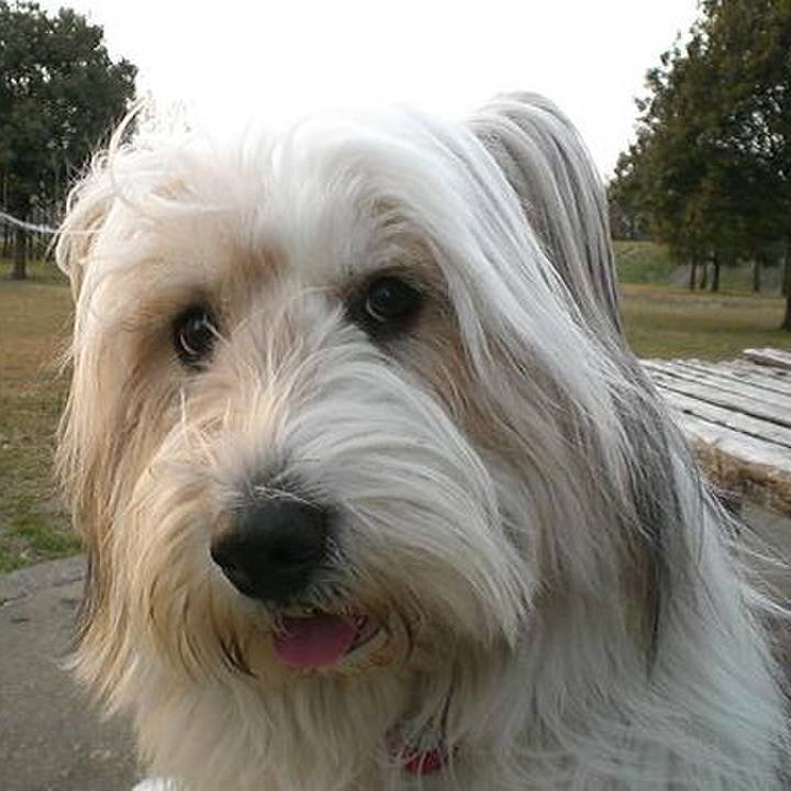 3ea3513f 4f56 4361 bceb 6e5383d21e3a