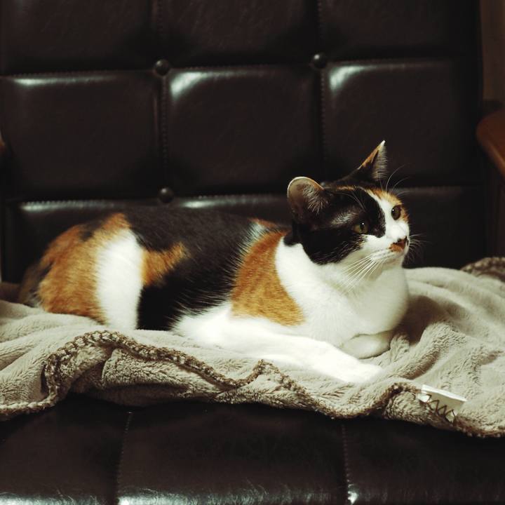 3ea36983 6669 4cfc a2cb ab9de383280d