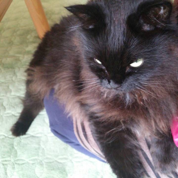 3ea3dc5e 1d83 4eea 8ce9 2600d11949f2