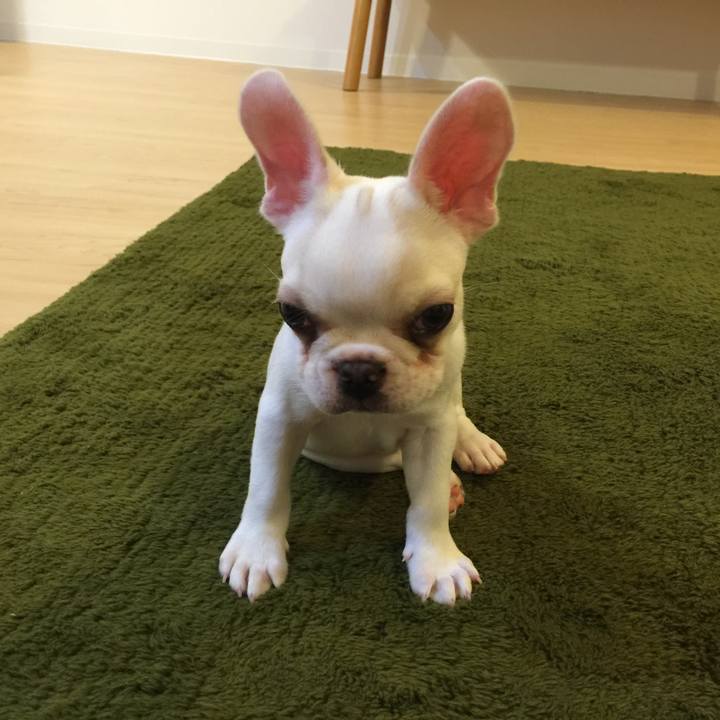 3ea45782 a378 4bc1 a79f 4d745ab2594c