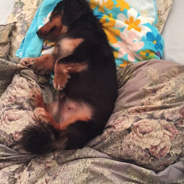 3ea47665 1ec6 4d7d 9915 3180f733a8cc