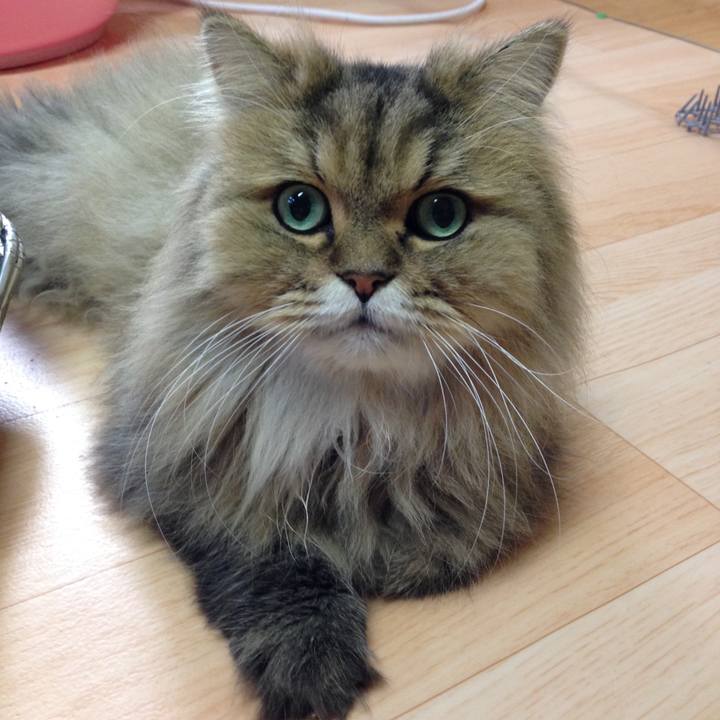 3ea50afc 9e16 4bbf 82b8 fc45aa199a47