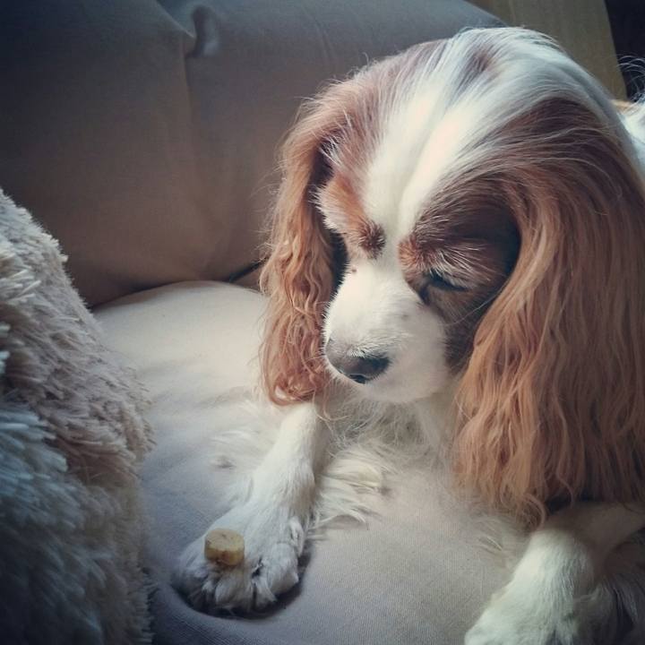 3ea56557 7f4f 40af 9223 1ff75055e5e5