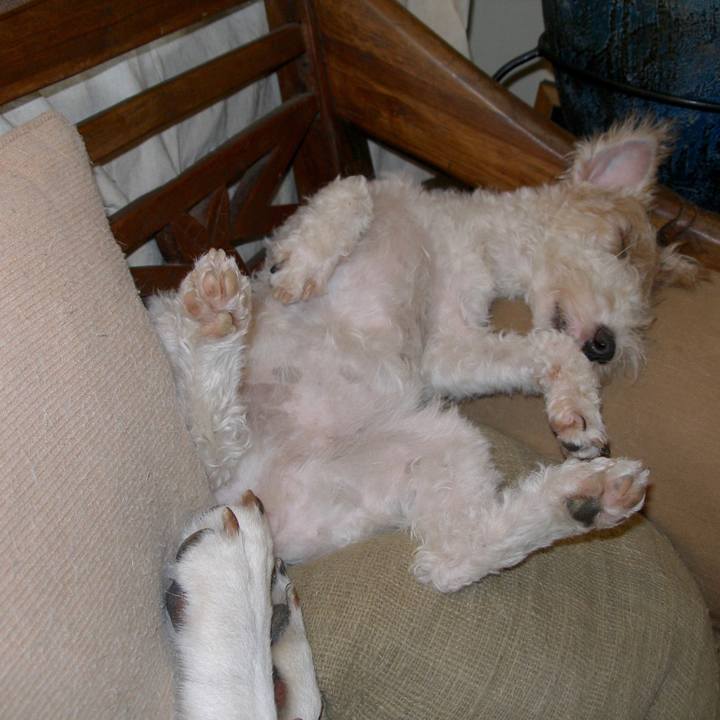 3ea56d19 a58c 481c 8d7a 854128464761