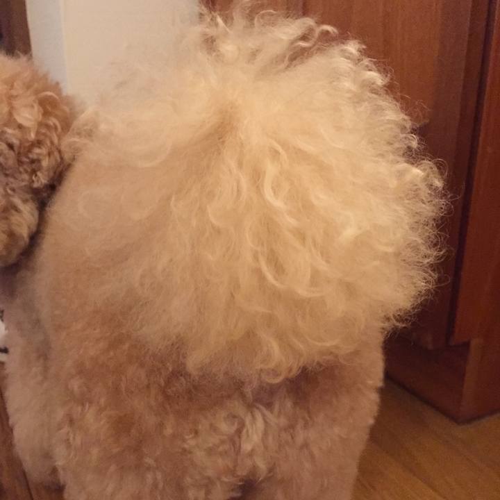 3ea6cfd5 ba79 44dc b03c b5c3da33f67d